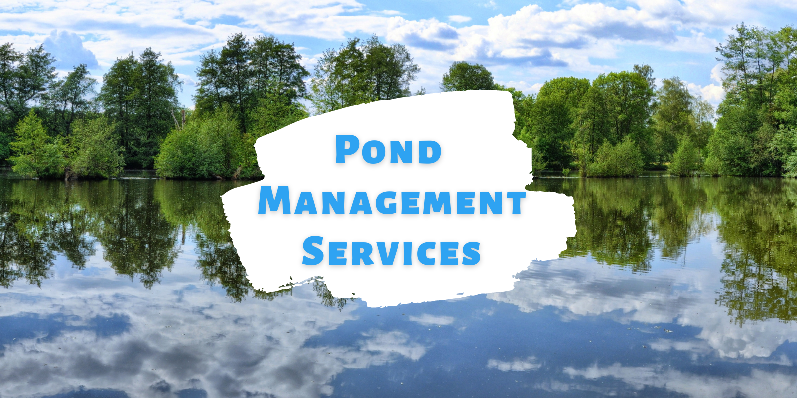 Pond Management Services
