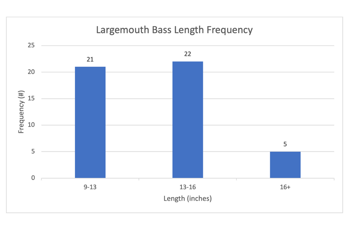 Largemouth Bass Frequency in 25 Acre Farm Pond