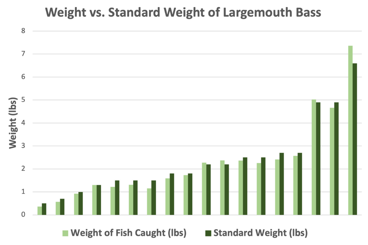 Largemouth Bass Growth Rate Comparison to Standard Weight