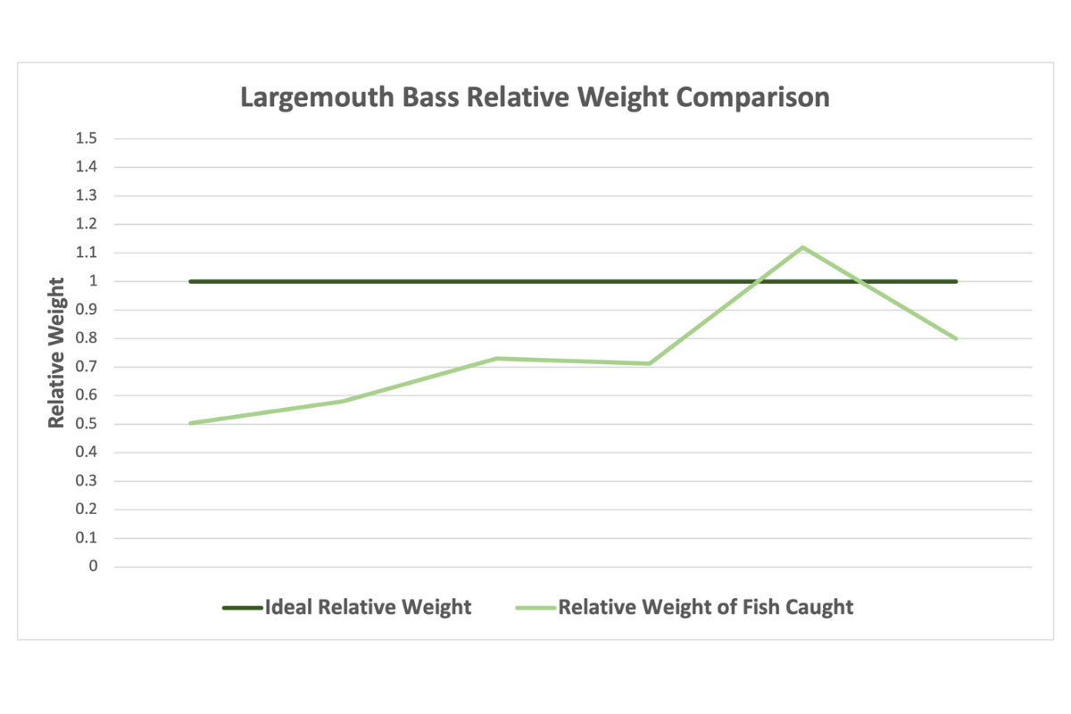 Largemouth Bass Overpopulation Relative Weight Analysis