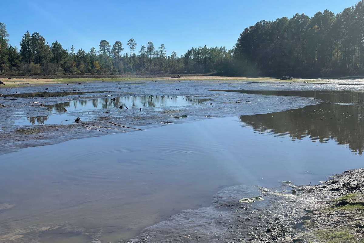 Complete Pond Restoration - Pond Draining