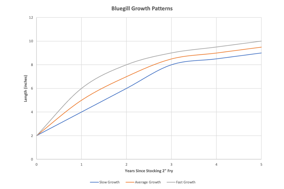Bluegill Population Growth