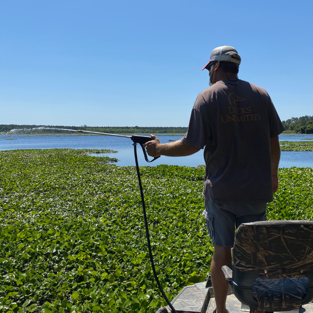 Spraying Salvinia in a Pond