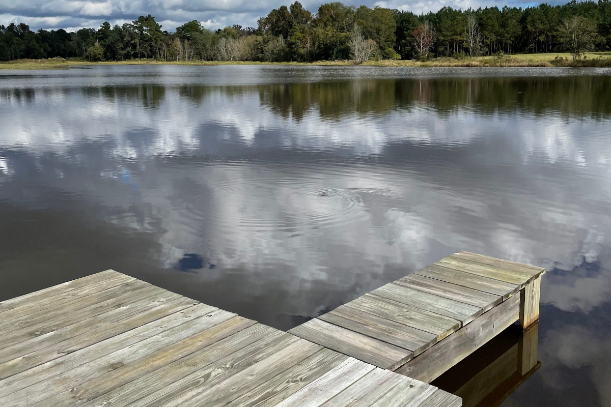 Excellent Largemouth Bass Growth Rate in a 30 acre pond