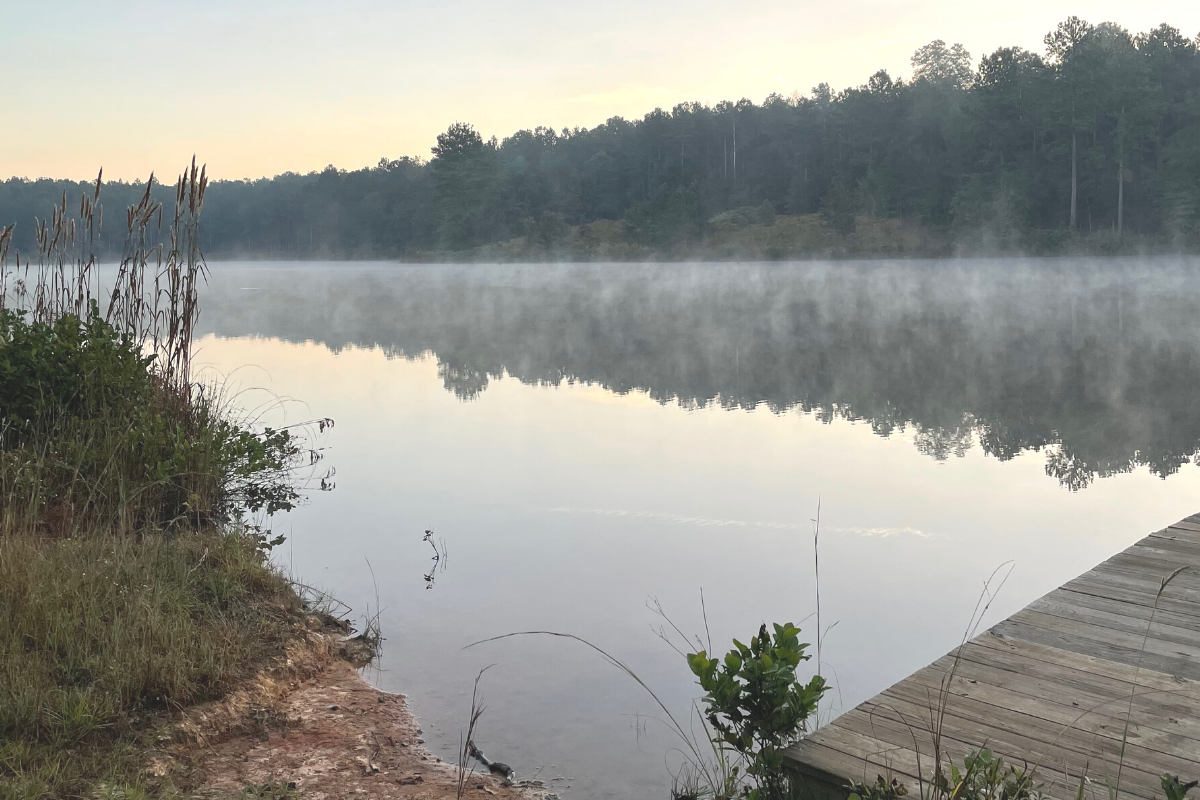 Largemouth Bass Overpopulation in Pond