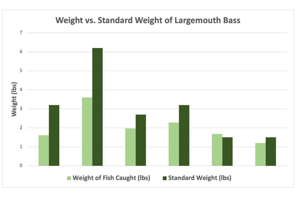 Largemouth Bass Overpopulation Results