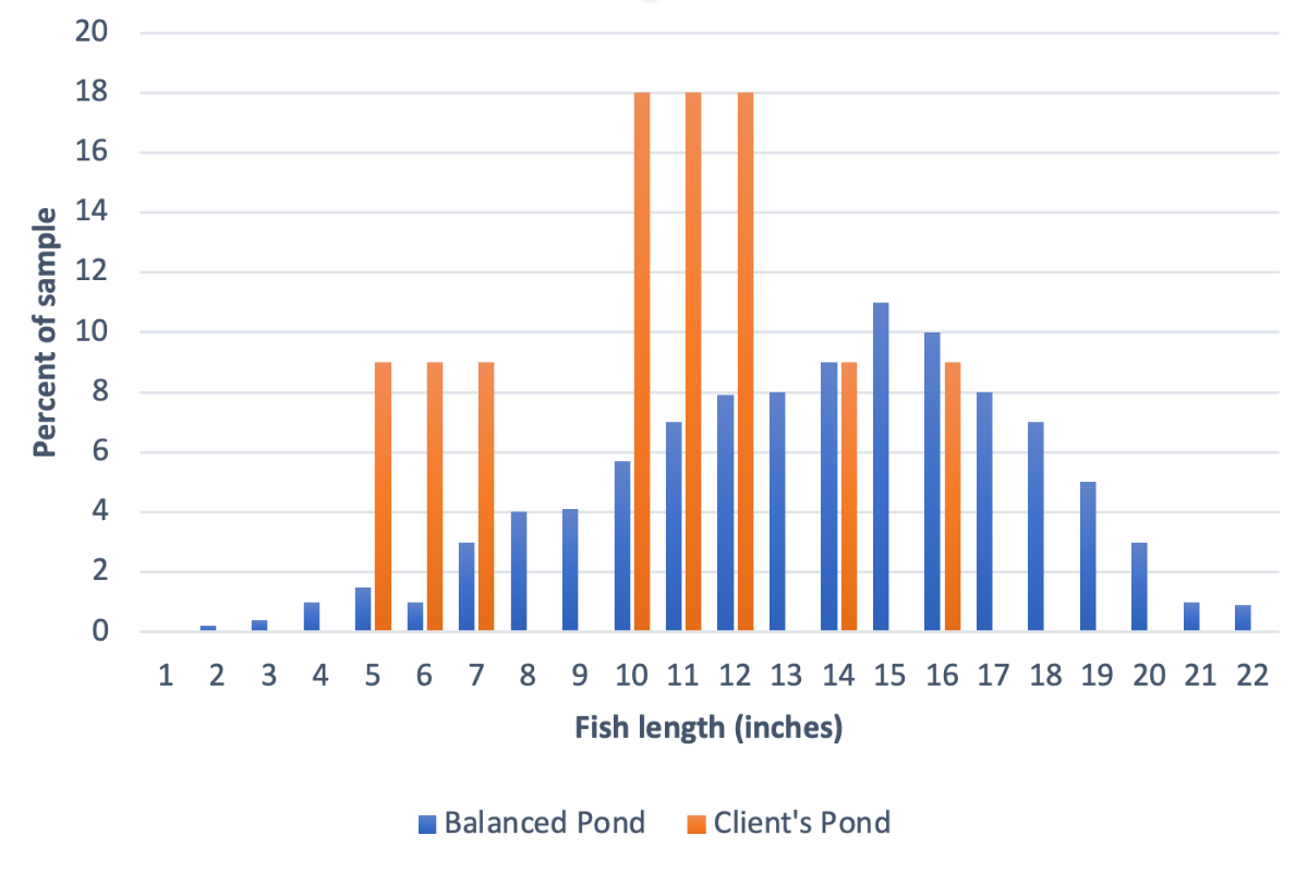 Largemouth Bass Distribution in Balanced versus Client's Pond