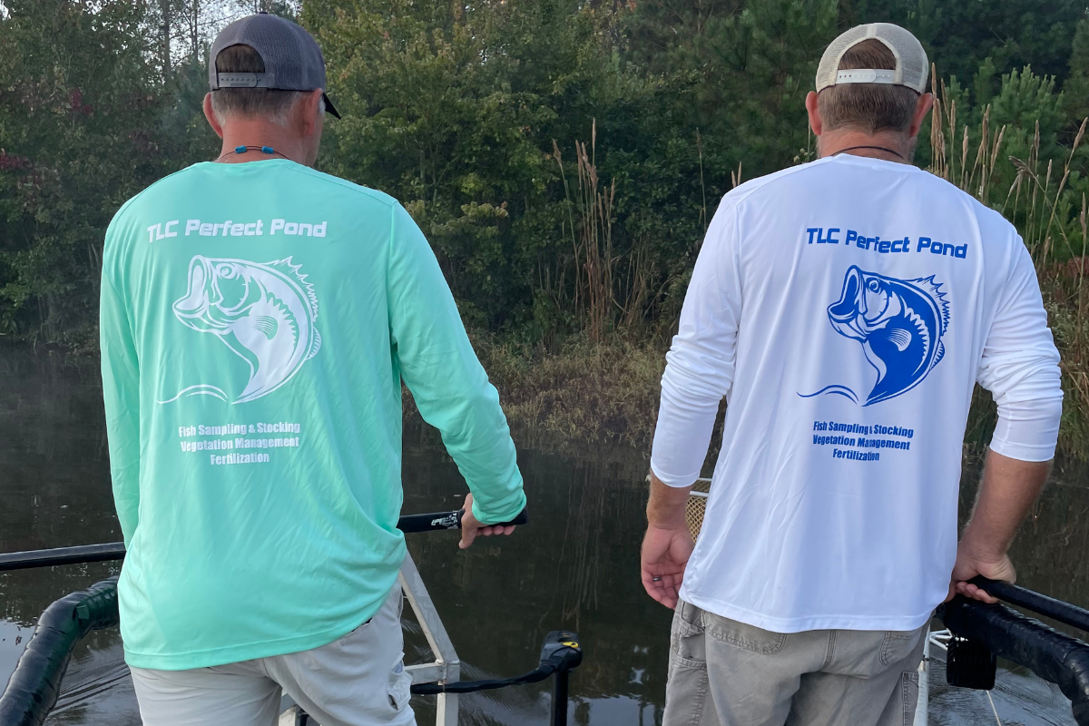 Biologists Catch and Release Electrofishing Survey