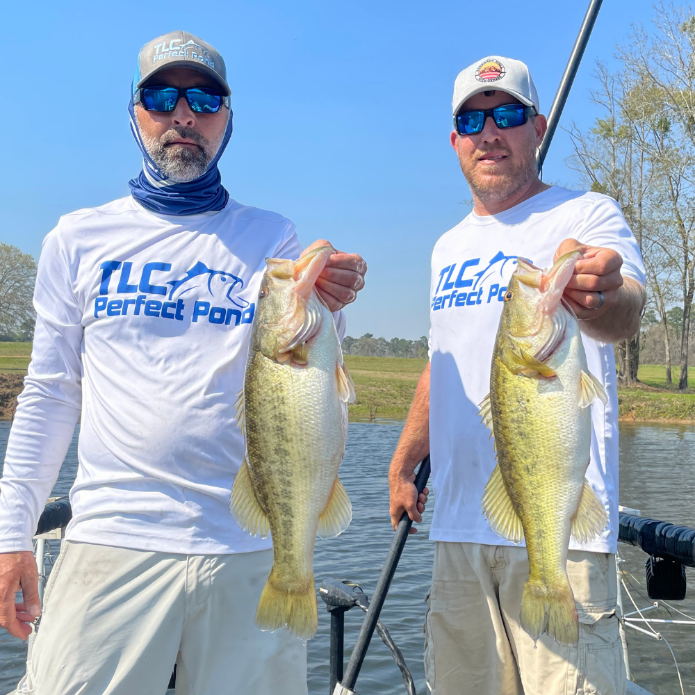 Growing Trophy Bass - TLC Perfect Pond Management Services