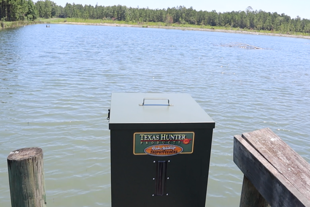 Texas Hunter Fish Feeder Sitting on Pond Dock