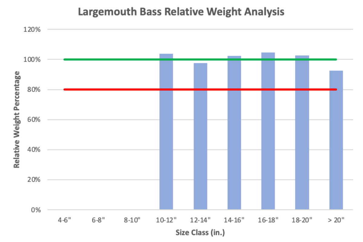 big-bass-relative-weight-analysis