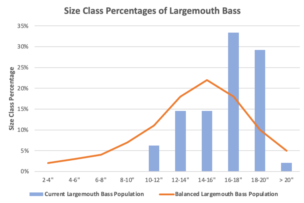 big-bass-size-class-percentage