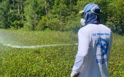 ProcellaCor – A New Way to Treat Invasive Aquatic Weeds