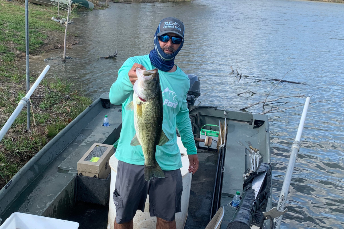 Monster Fish in Bass Pond