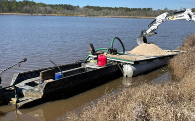 Why Does a Pond Need Lime?
