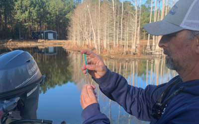 6 Steps to Take After Building a New Pond