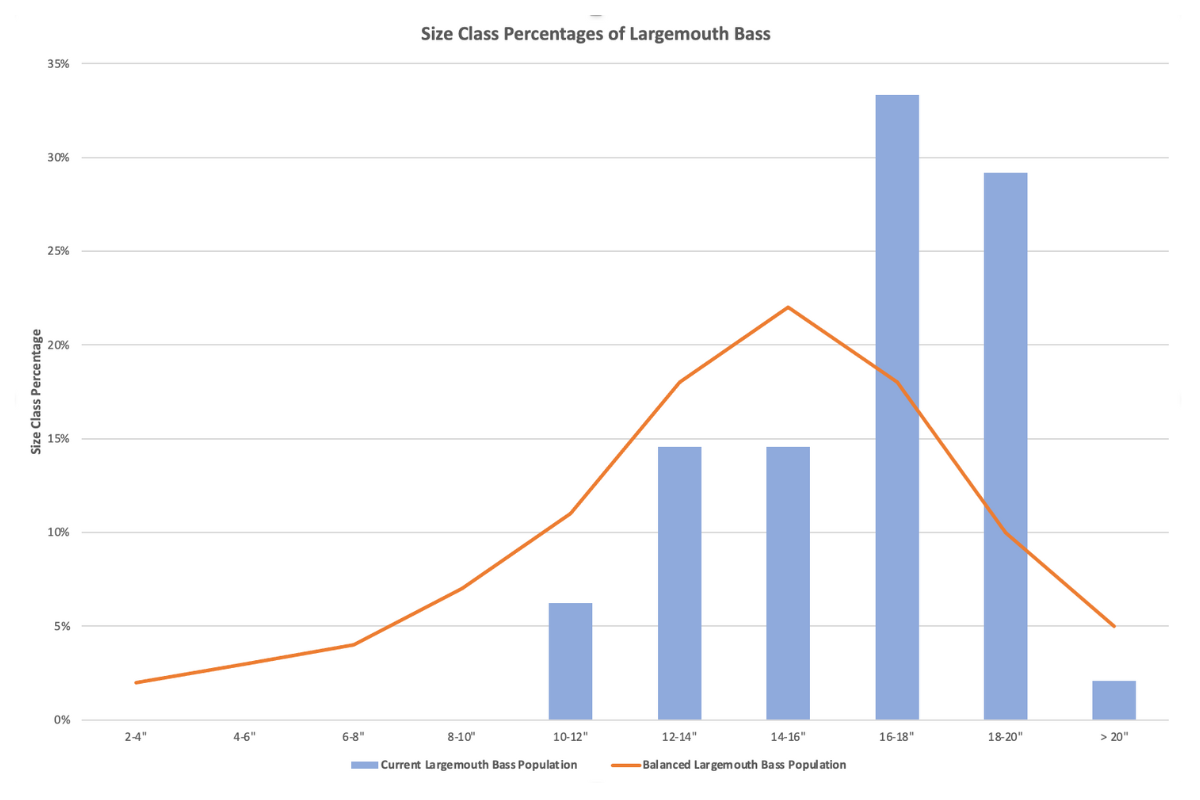 Balanced Bass Population Distribution