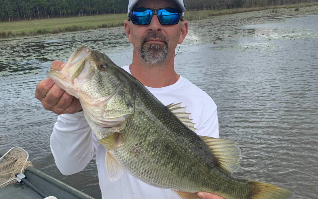 The Titan Bass: Fish that Grow Faster and Bite Better!