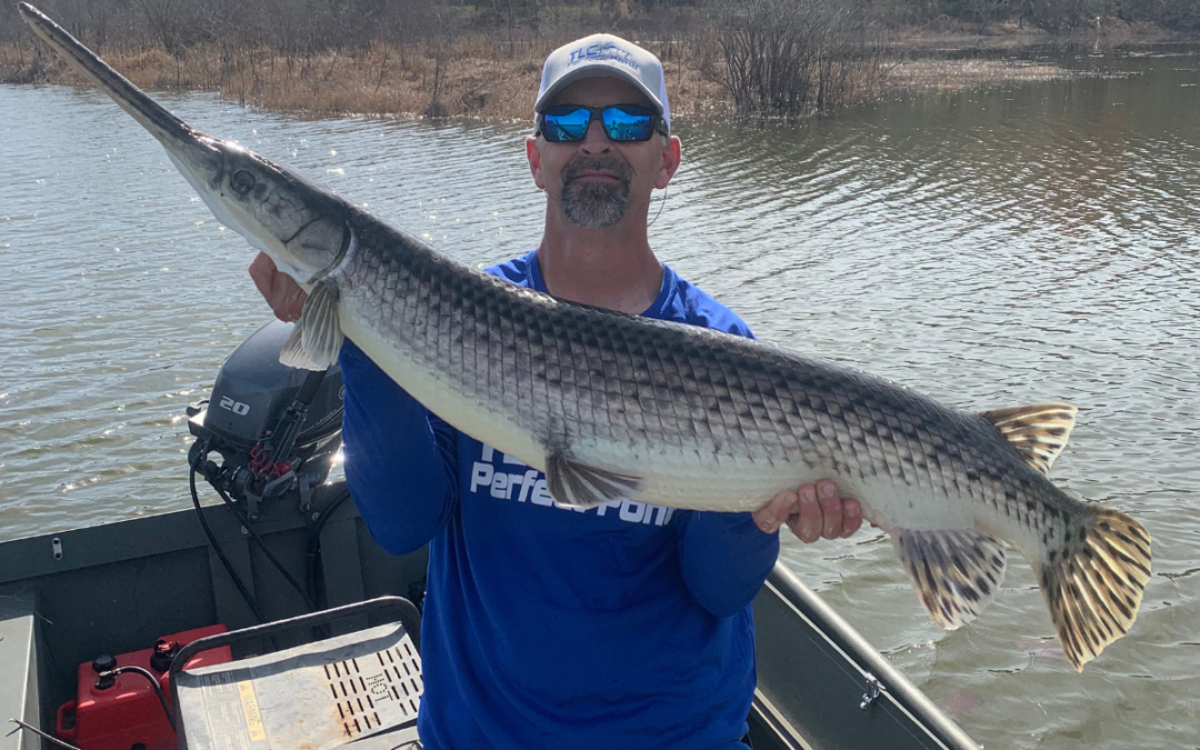 Are Gar Bad for Your Pond or Lake?