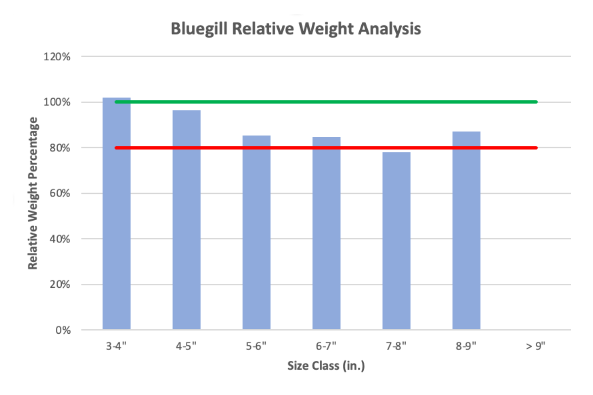 Bluegill Weight Analysis in an 8 acre pond