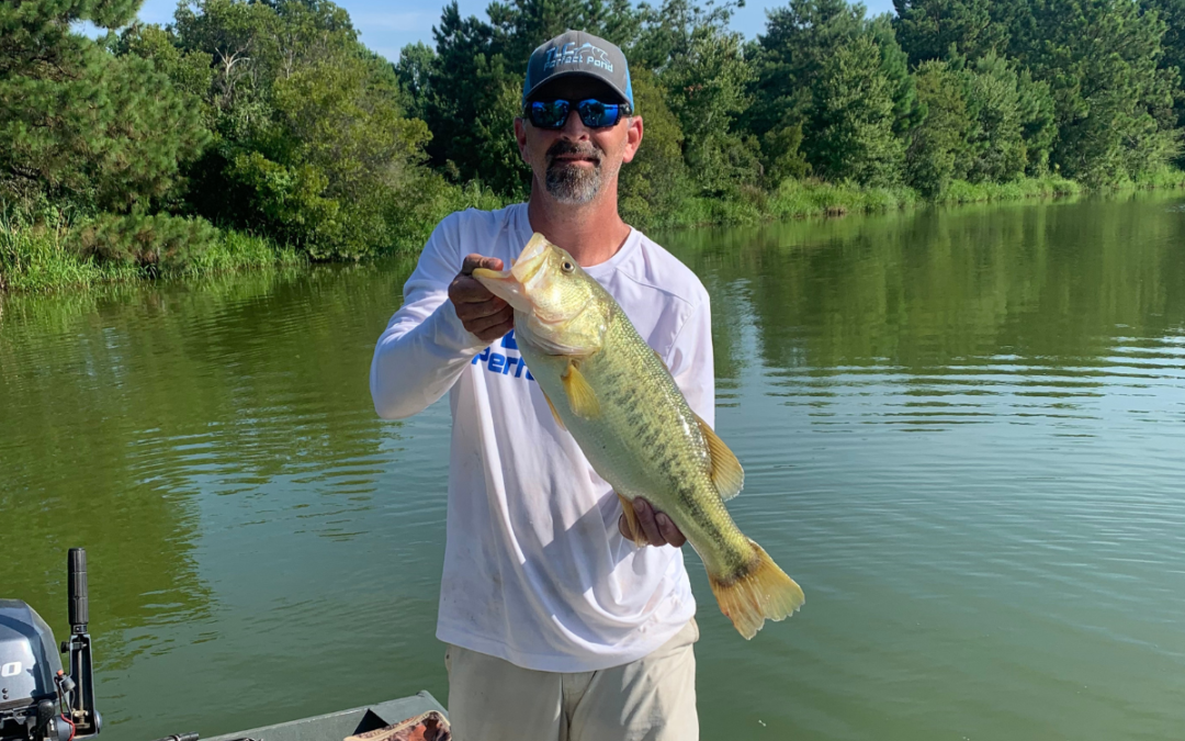 Largemouth Bass Stacking in Size Classes