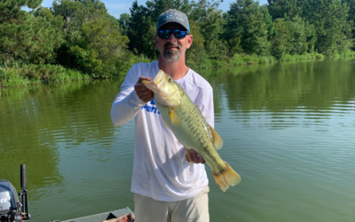 Largemouth Bass Stacking in Size Classes