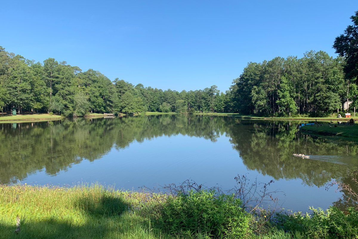 Evaluating Bluegill Weight in an 8 acre pond