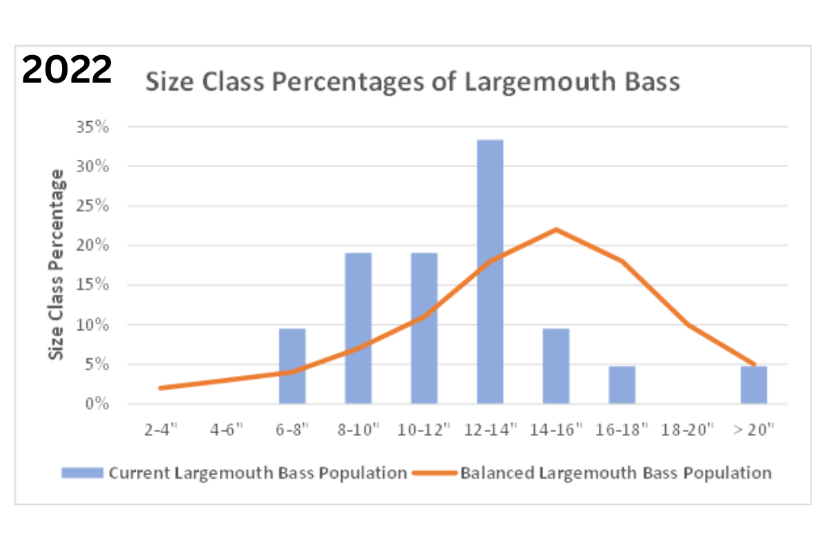 2022 largemouth bass distribution graph