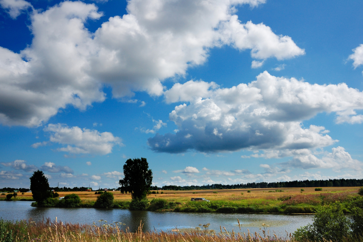 Clouds Affecting Dissolved Oxygen Levels