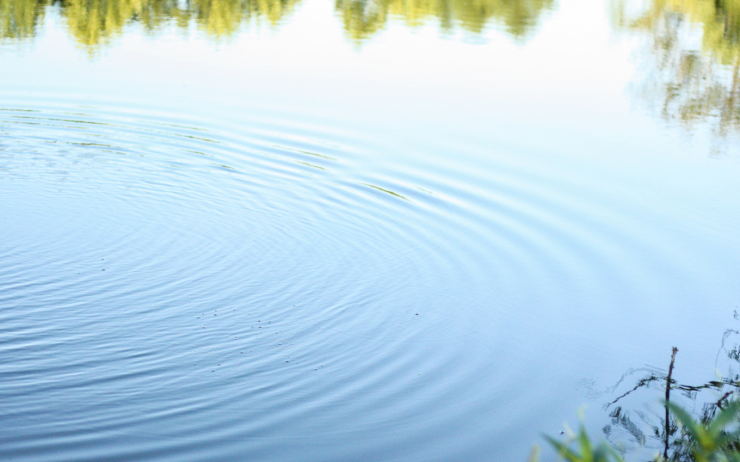 What Causes Low Dissolved Oxygen Levels in Ponds?