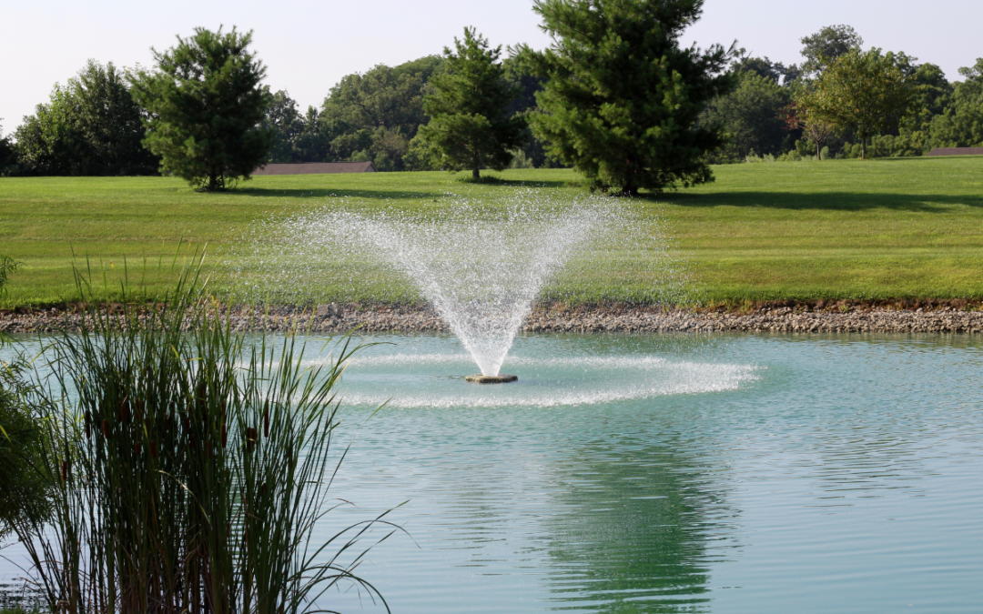 The Importance of Dissolved Oxygen in Ponds