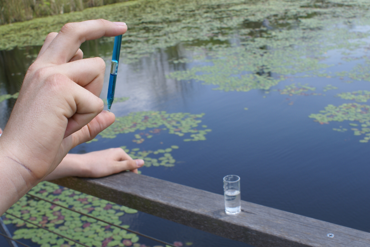 Testing Dissolved Oxygen Levels