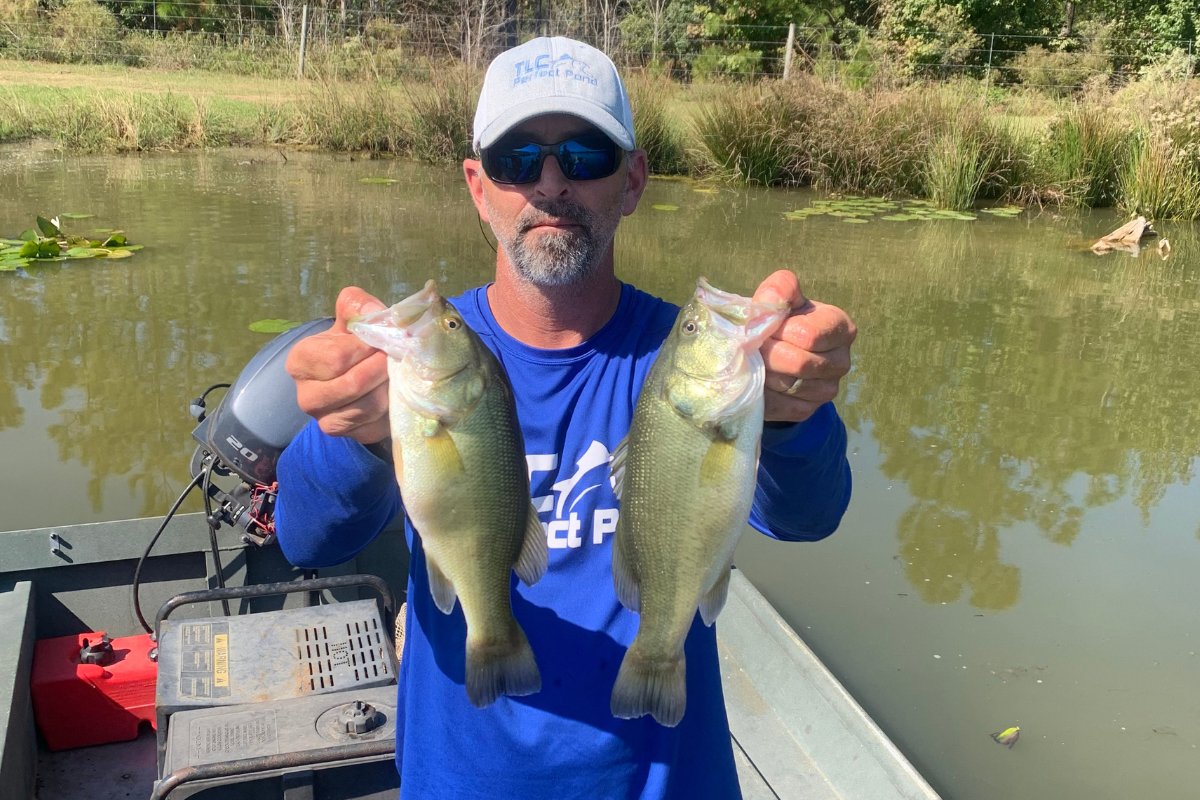 Trophy Bass Genetics