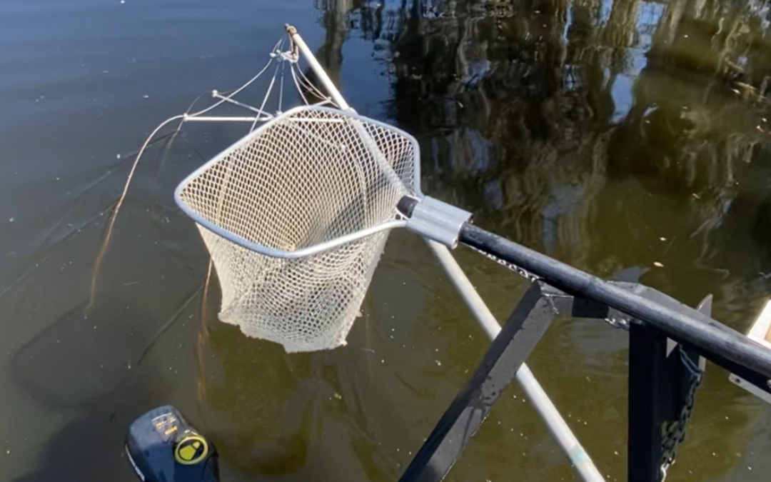 Using Electrofishing as a Pond Management Tool