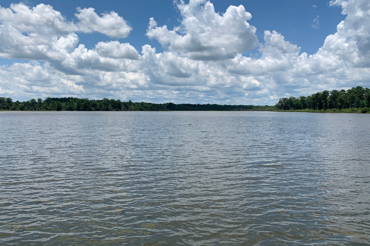 Lake for Growing Big Bass