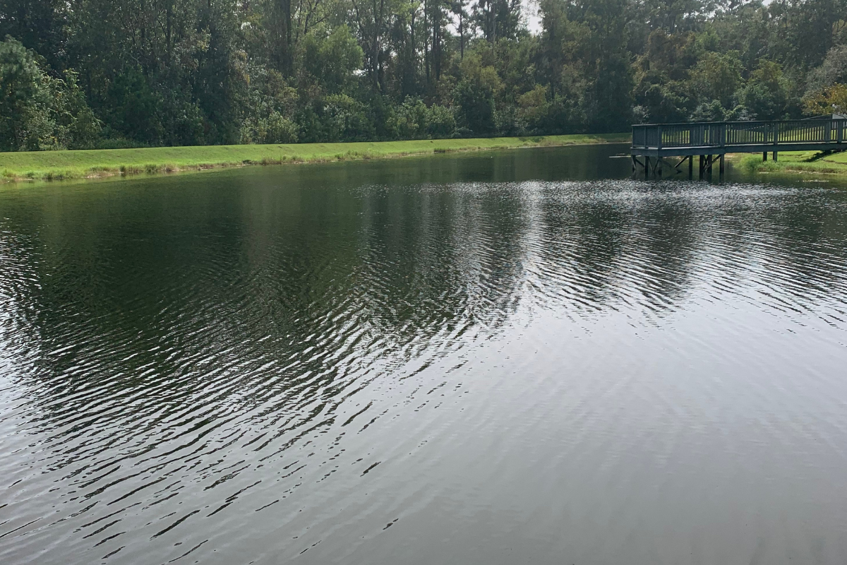 Small Pond with Dock