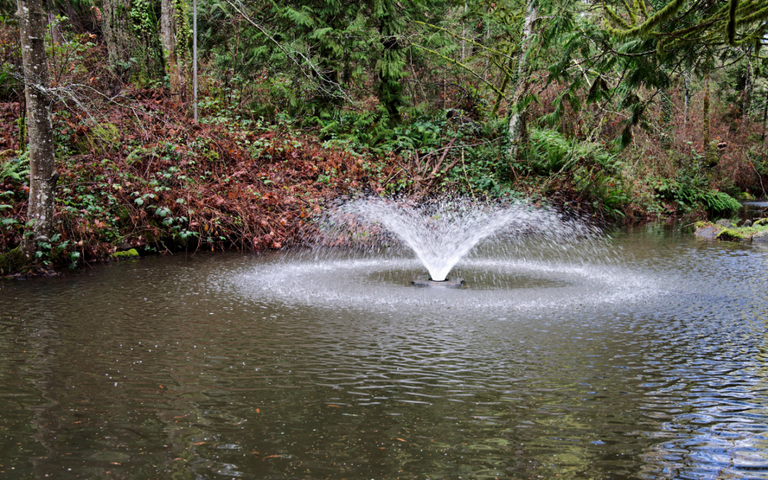 Aerators and Pond Fountains