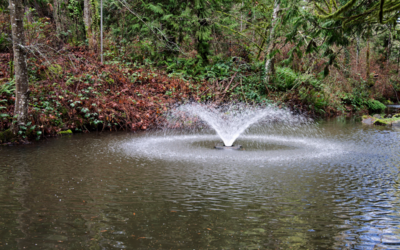 How Aerators and Fountains Can Prevent Pond Turnover and Improve Pond Health