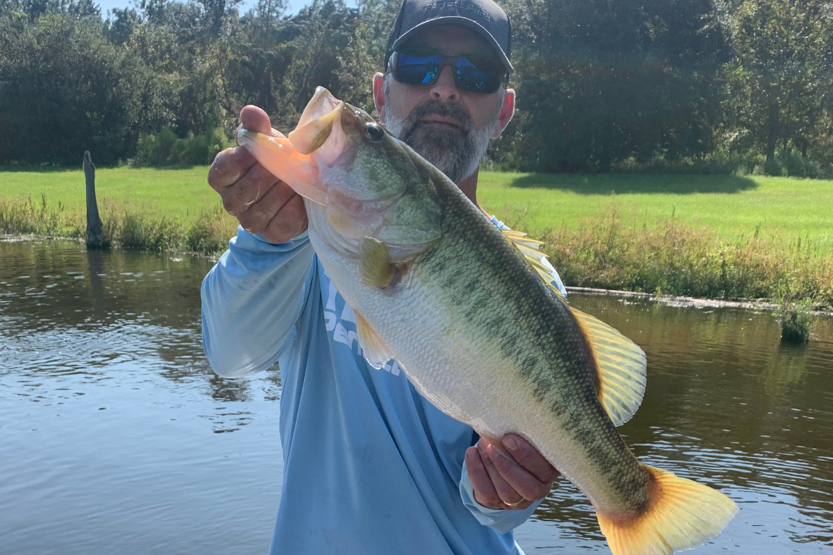 Electrofishing Survey for Pond Management