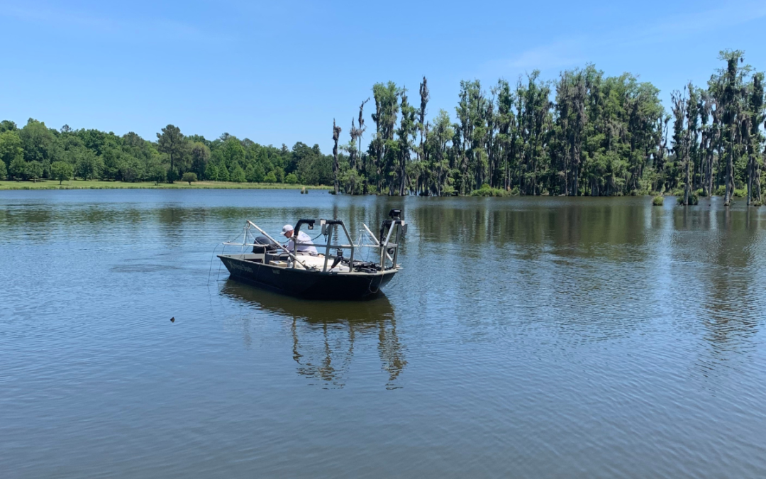 Why Conducting an Electrofishing Survey is Essential Before Stocking Your Farm Pond or Lake