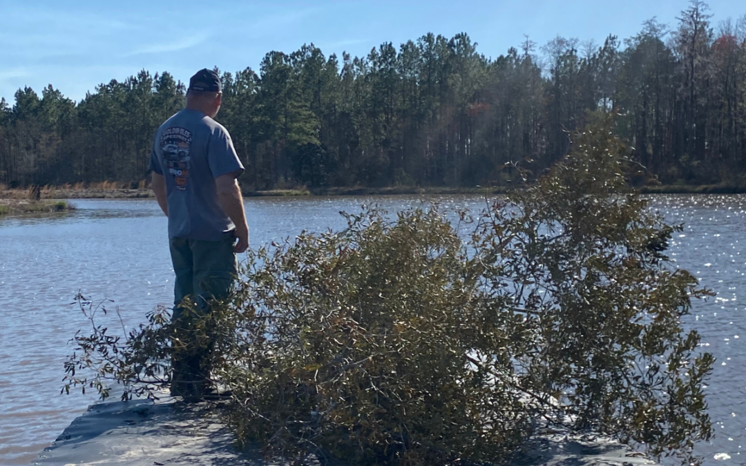 Creating the Right Habitat in Shallow Areas for Healthy Bluegill and Largemouth Bass Populations