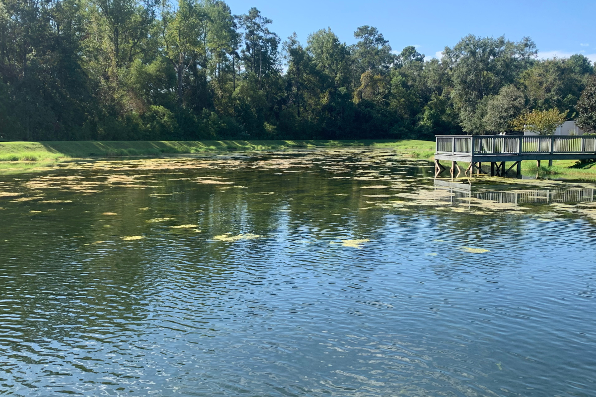 Managing Habitat in Shallow Areas of a Pond