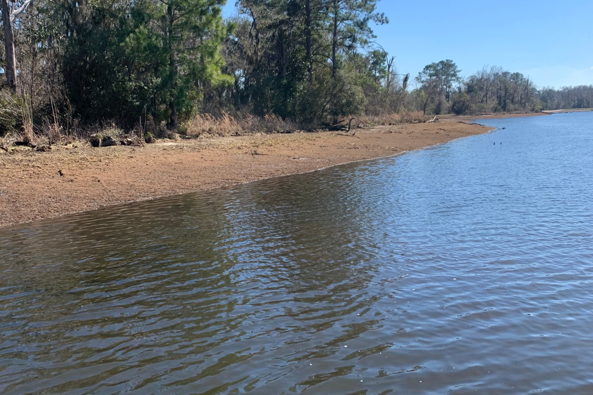 Managing Habitat in Shallow Areas of a Pond