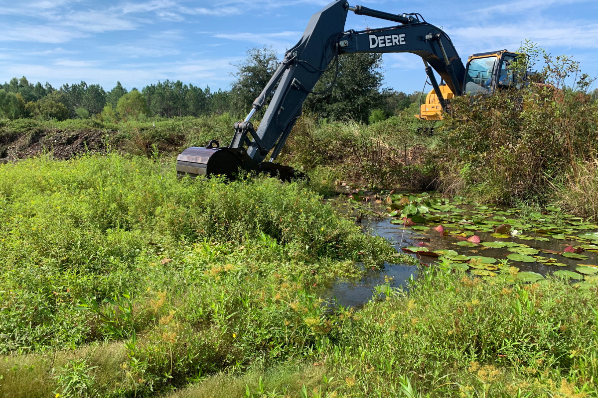 Managing Habitat in Shallow Areas of a Pond