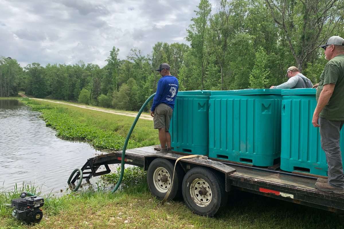 Seasonal Pond Management Strategies