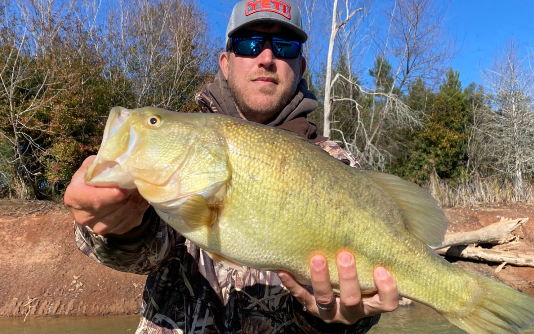 Creating a Trophy Bass Pond