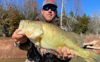 How to Avoid Common Mistakes in Trophy Bass Pond Management