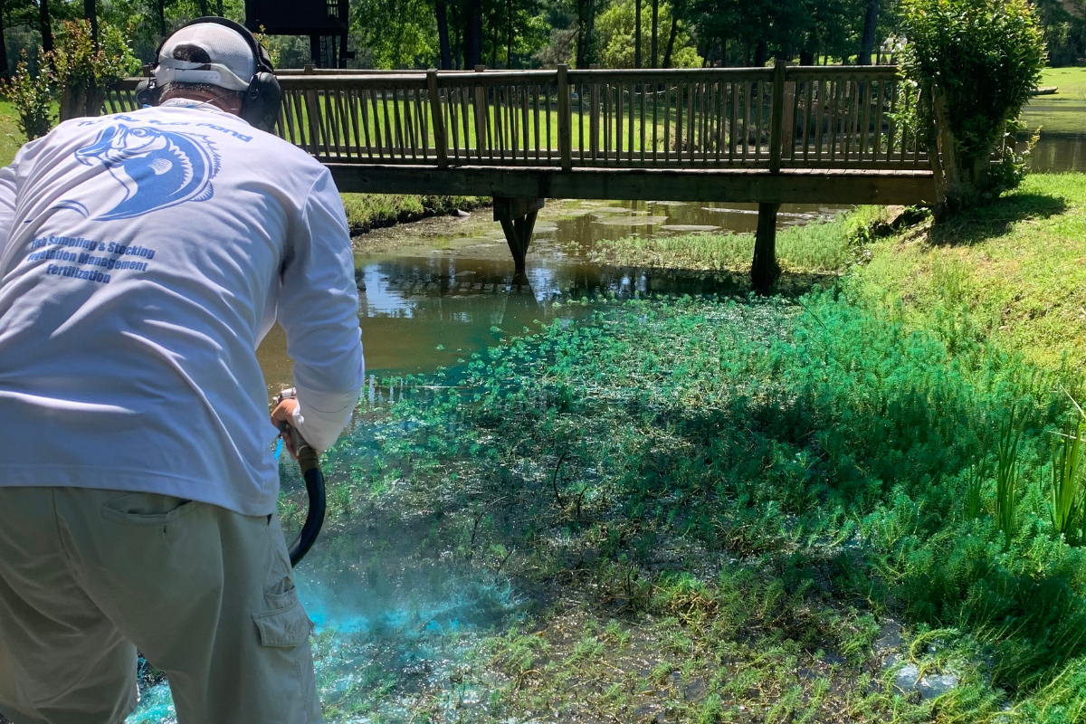 Aquatic Vegetation Early Management