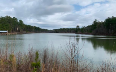 Transforming an Overpopulated Pond into a Trophy Bass Fishery