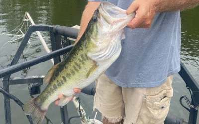 Why “Standard Weight” Doesn’t Tell the Whole Story for Post-Spawn Bass